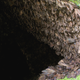 17,000 bogong moths can occupy one square meter on a cave wall.